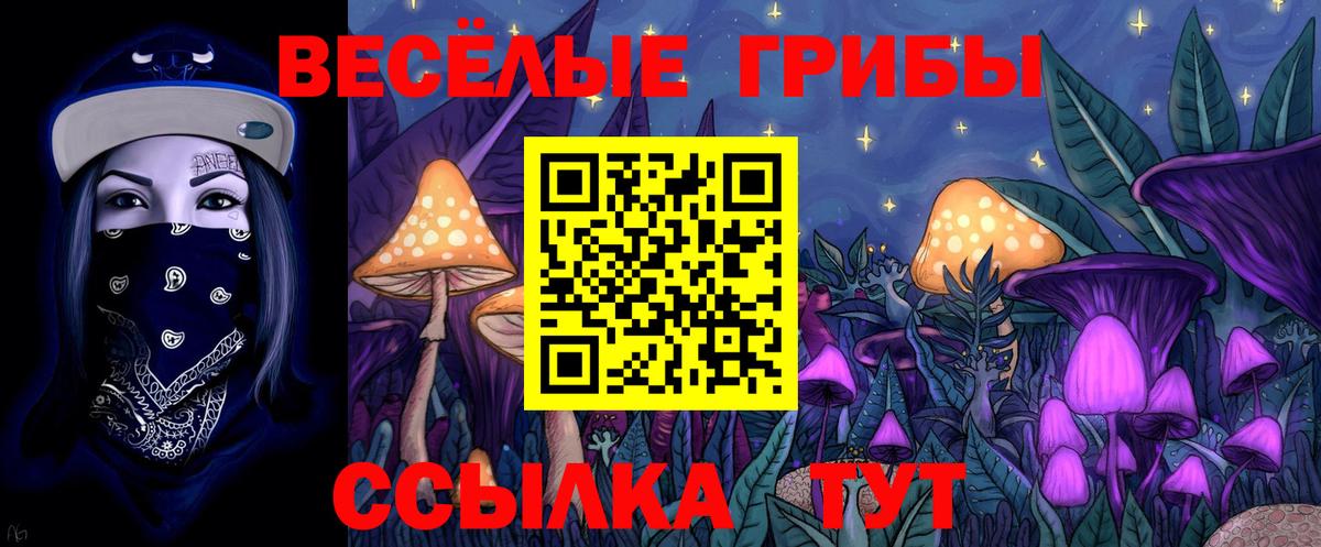 Галлюциногенные грибы MAGIC MUSHROOMS  Псилоцибиновые грибы Psilocybe  Вход с VPN  Качканар 